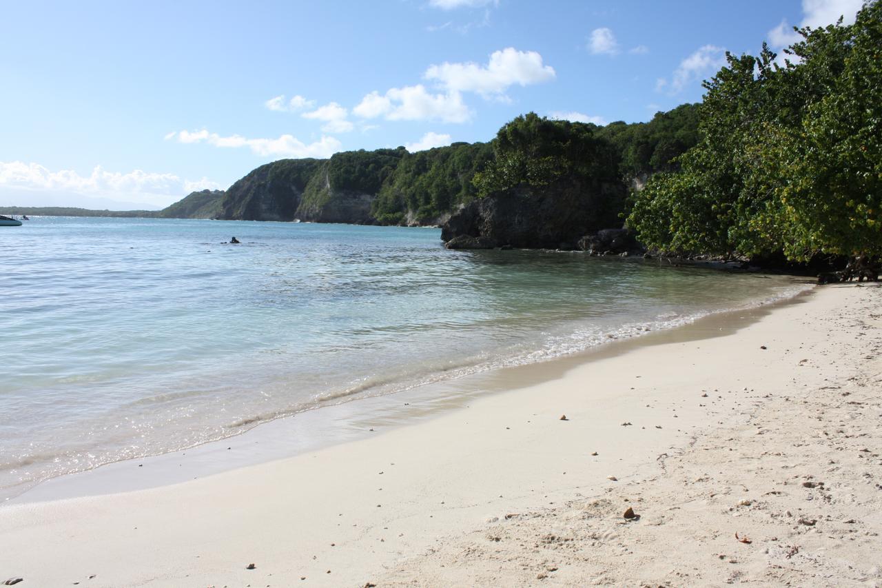 Entre 2 Plages Le Gosier  Eksteriør bilde